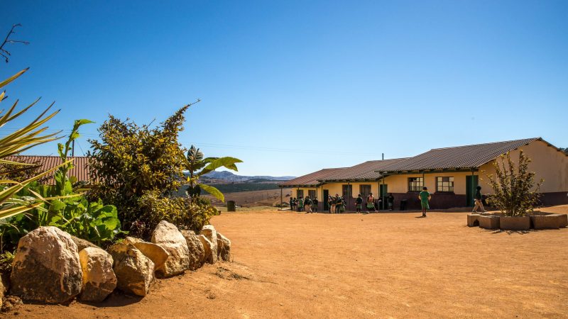 A wide angle shot of houses built on a dry field next to a few plants